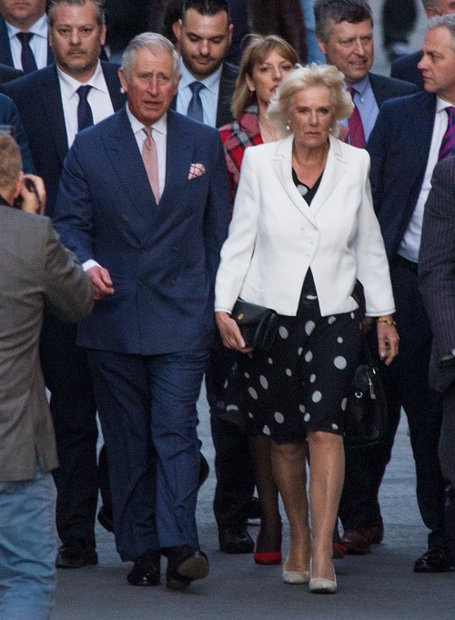 Camilla Parker-Bowles Crushed: Prince Charles Won’t Celebrate Wedding Anniversary?