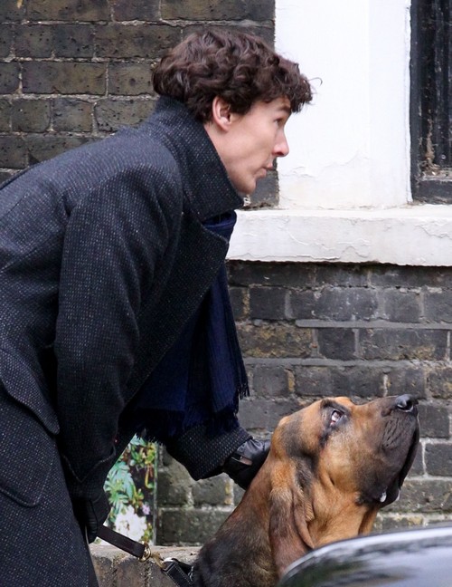 Sherlock Spoilers Season 4: Red Headed League – Mary Watson Faces Death – Sherlock Gets a Bloodhound
