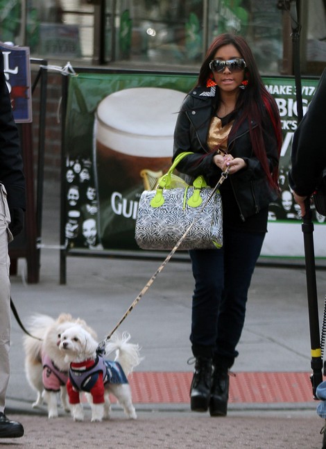 Snooki’s Weight Loss Credited To Diet Pills and Laxatives – Back To Her Old Tricks?