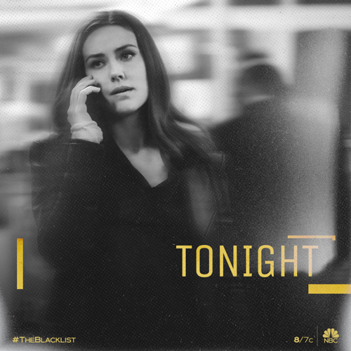 The Blacklist Recap 05/10/19: Season 6 Episode 21 “Anna McMahon”