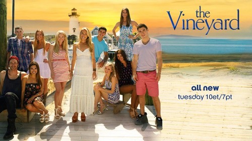 The Vineyard RECAP 8/20/13: Season 1 Episode 5 “Player Beware”