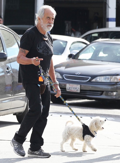 Tommy Chong Discovers Marijuana Treatment Did Not Cure Prostate Cancer: Comedian Set For Surgery