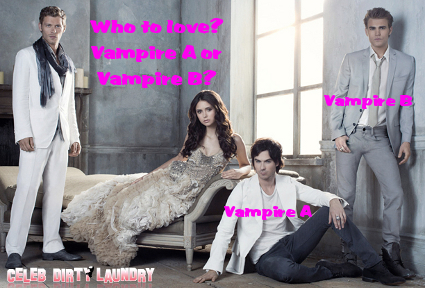 Elena Must Choose Between Stefan And Damon On The Season Finale Of ‘The Vampire Diaries’ (Poll)