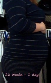 Robyn Belly Pictures: Week Fifteen and Sixteeen