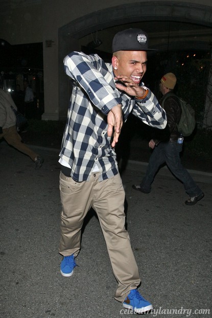 Did Chris Brown Leak His own Nude Photo?