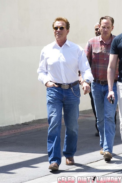 Arnold Schwarzenegger Injured Lover Gigi Goyette In illicit Affair