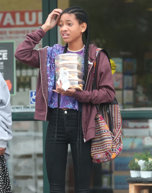 Willow Smith Topless Photo Instagram Scandal: Jada Pinkett-Smith’s Daughter Crosses Line Showing Breasts and Nipples?