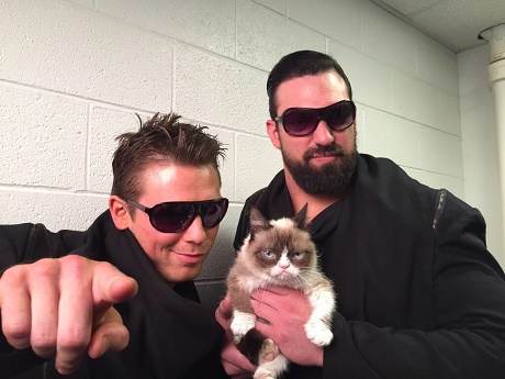 WWE Monday Night Raw Visited By World Famous Feline Grumpy Cat! (VIDEO)